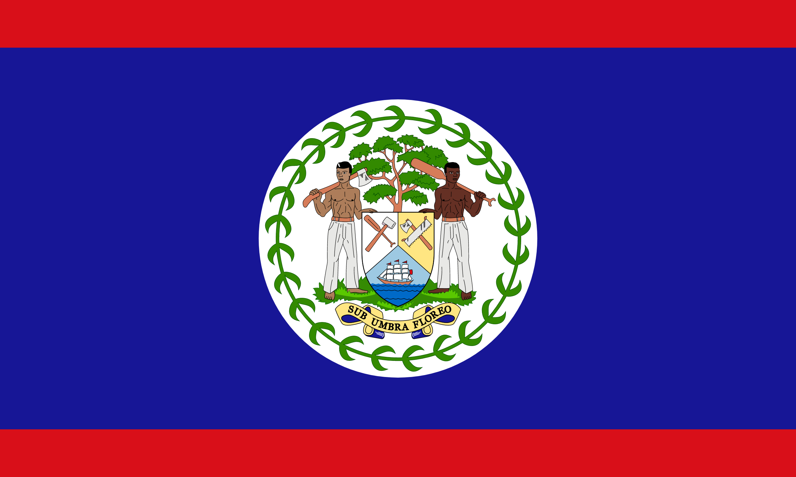 Flag of USA