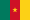 Cameroon Online Newspapers