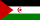 Palestine newspapers